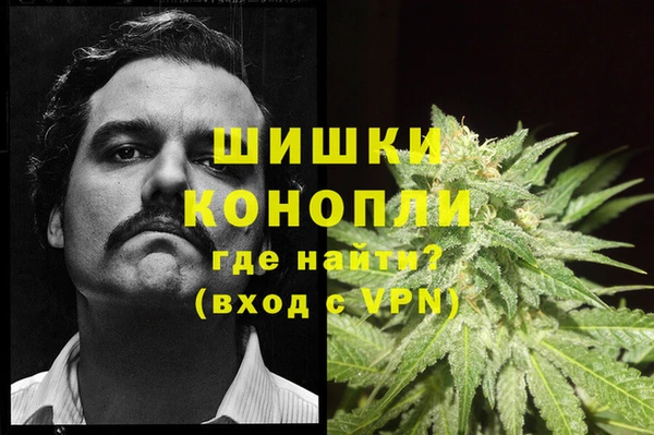 гашик Алзамай