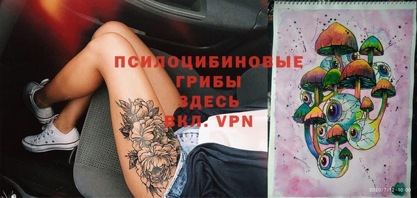 сатива Алексеевка