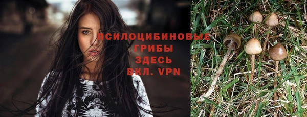 гашик Алзамай