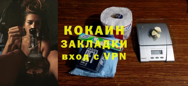 кокс Алексин